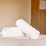 Ibis Ferrand A71 A75 La Meridienne Clermont-Ferrand