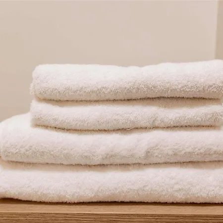 Ibis Ferrand A71 A75 La Méridienne 3* Clermont-Ferrand