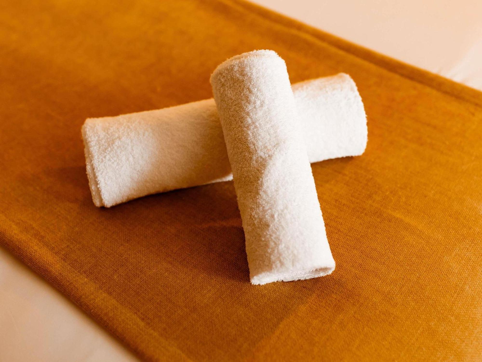 Ibis Ferrand A71 A75 La Méridienne Clermont-Ferrand