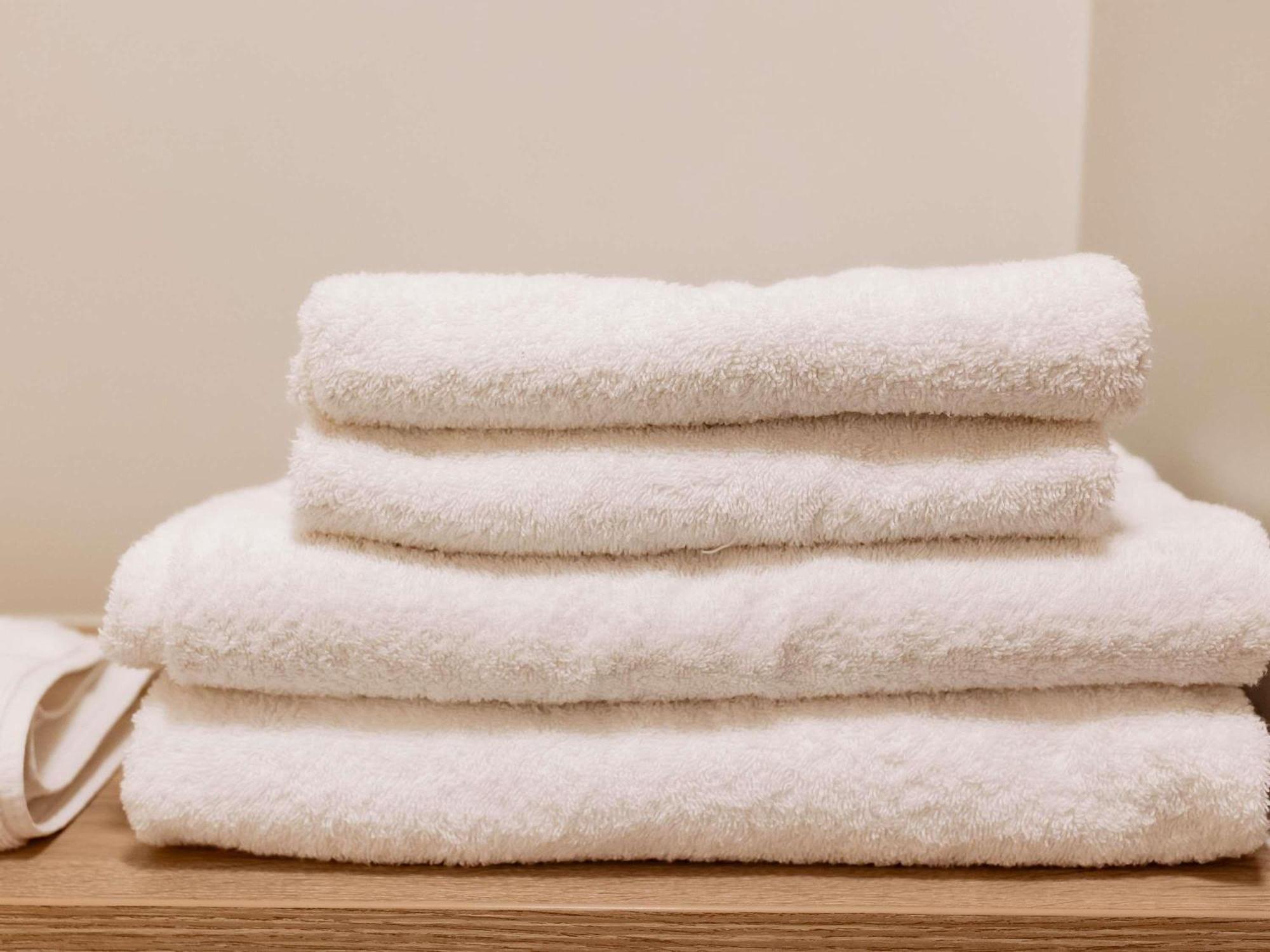 Hotel Ibis Ferrand A71 A75 La Méridienne Clermont-Ferrand